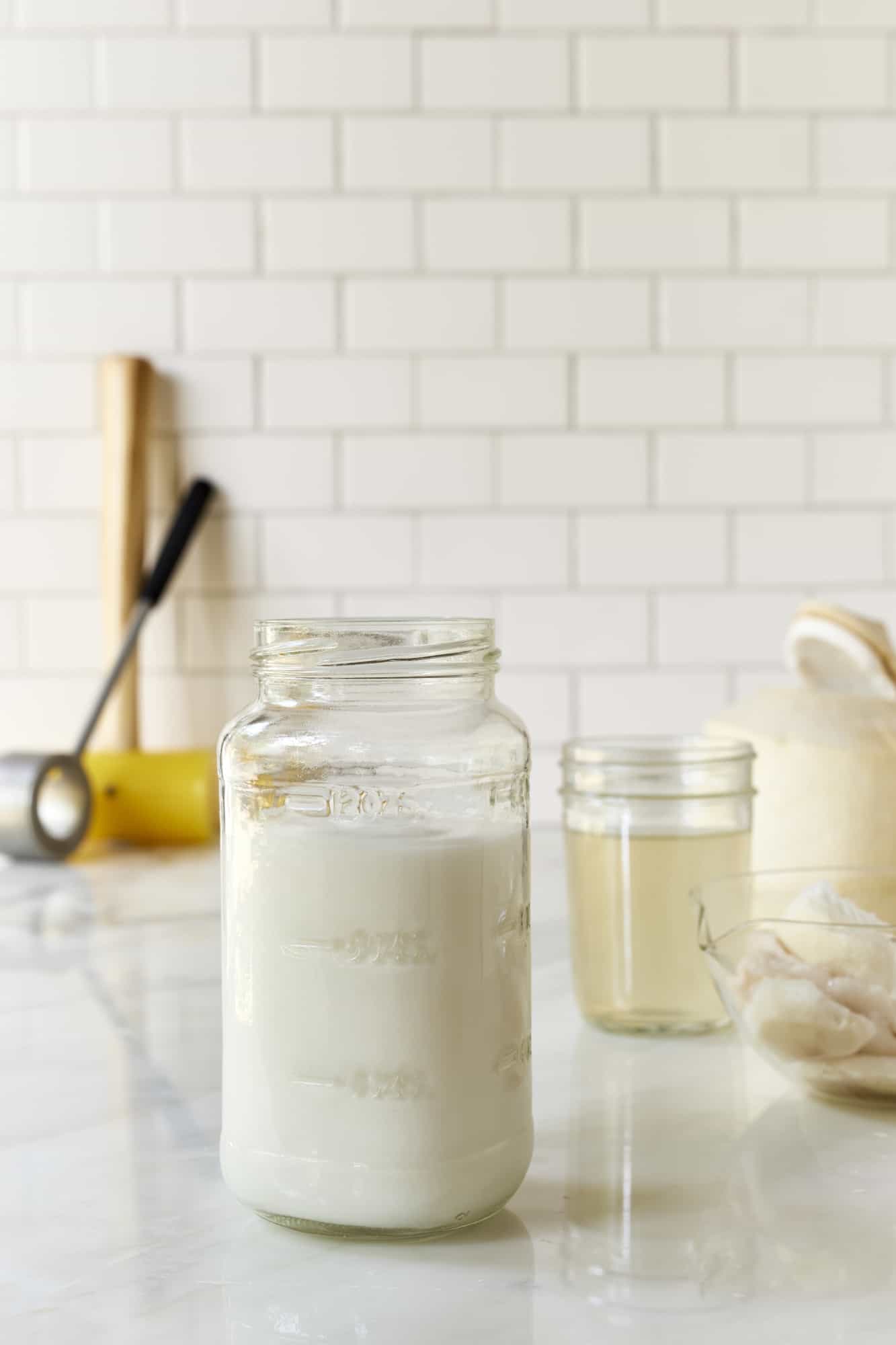 Homemade Coconut Milk Recipe The Blender Girl