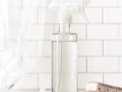 natural mold cleaner mites natural mold cleaner the blender girl natural mold cleaner mites natural mold cleaner the blender girl