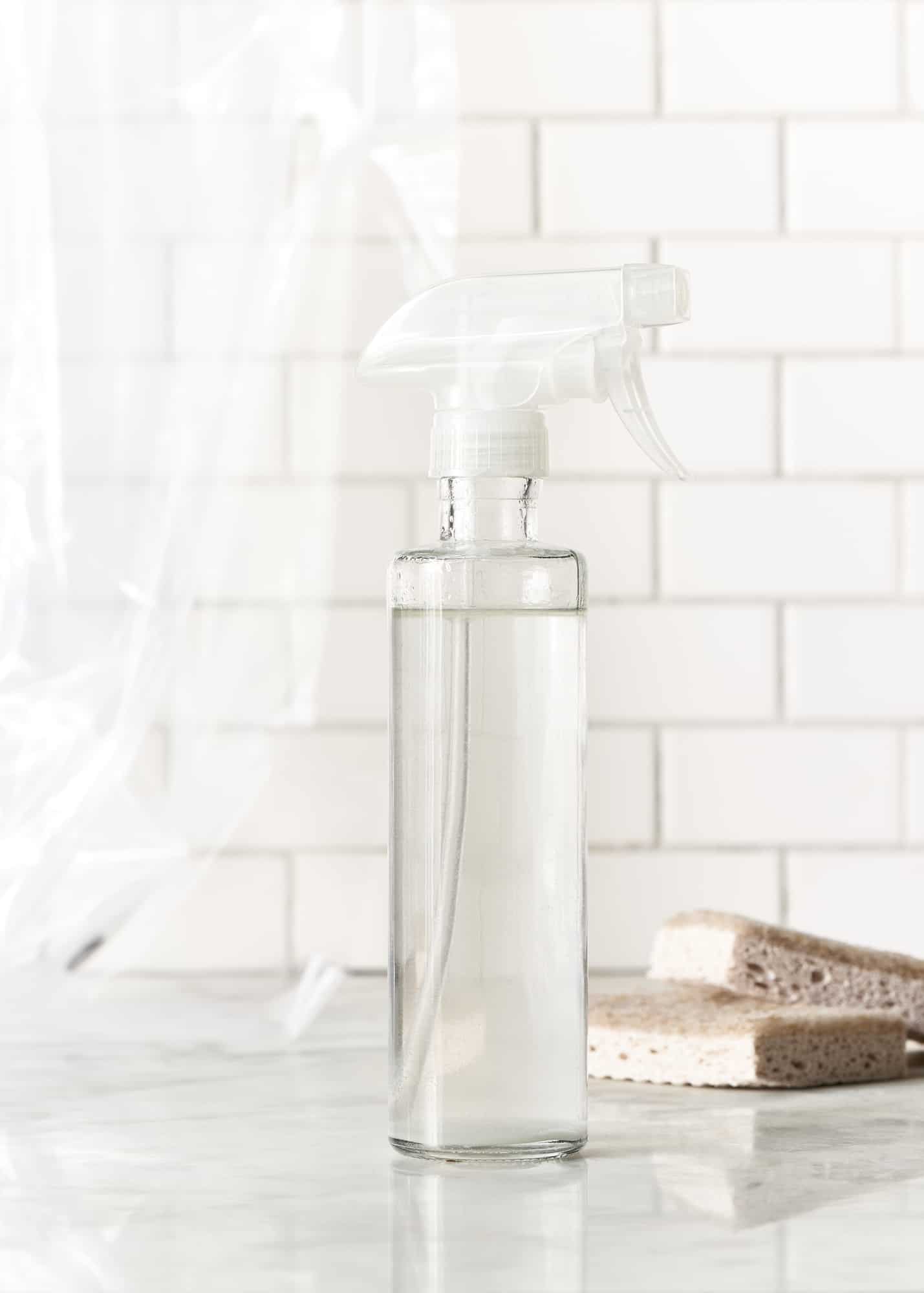 Natural Mold Cleaner The Blender Girl