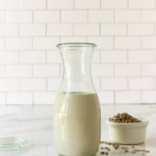 Sunflower Seed Milk Recipe {NutFree, Vegan, Paleo} The Blender Girl