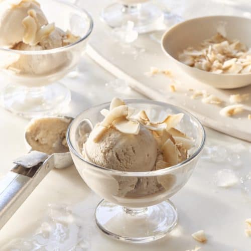 Vegan Coconut Ice Cream The Blender Girl